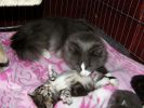 foto021.jpg